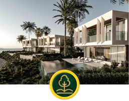 Landscape & Site Visualizations